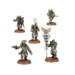 Solar Auxilia Battle Group