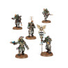 Solar Auxilia Battle Group