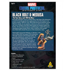 Black Bolt & Medusa