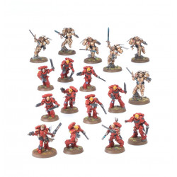 Combat Patrol: Blood Angels