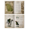 Arcane Journal: Wood Elf Realms