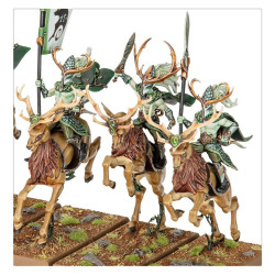 Wild Riders