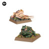 Arcane Frogs