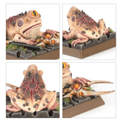 Arcane Frogs