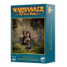 Beastmen Brayherds Bray - Shaman