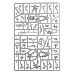 Regiments of Renown: Drekki's Privateers