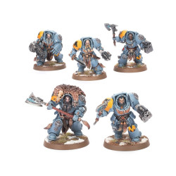 Combat Patrol: Space Wolves