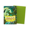 Olive - Matte Sleeves Japanese size