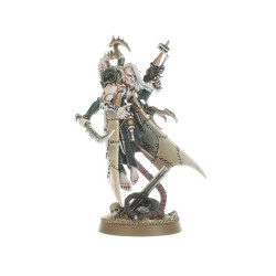 Combat patrol: Drukhari