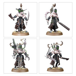Combat patrol: Drukhari