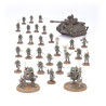 Solar Auxilia Combat Force