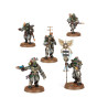 Solar Auxilia Combat Force