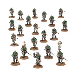 Solar Auxilia Combat Force