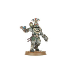 Solar Auxilia Combat Force