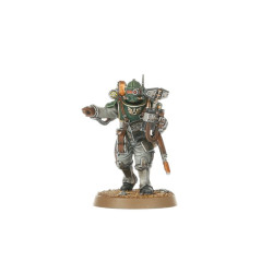 Solar Auxilia Combat Force
