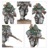 Solar Auxilia Combat Force