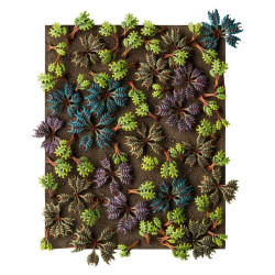 Barbed Bracken