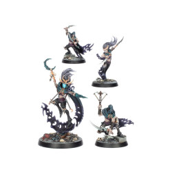 Seekers in Shadow