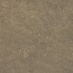 Dirt