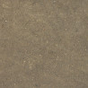 Dirt