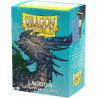 Lagoon - Matte Dual Sleeves
