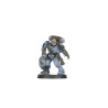 Wolf Scouts Kill Team