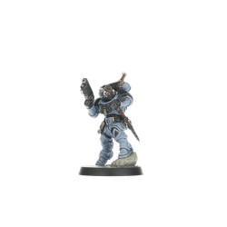 Wolf Scouts Kill Team