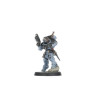 Wolf Scouts Kill Team