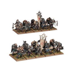 Chaos Marauders