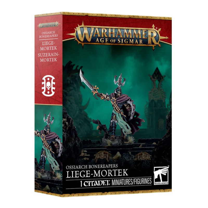 Liege-Mortek