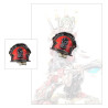 Red Corsairs Upgrades and Transfers