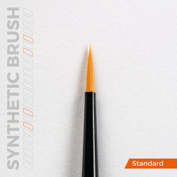 Precision brushes set