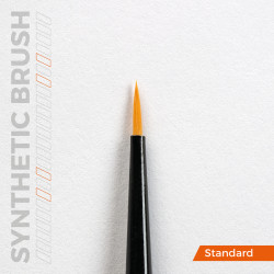 Precision brushes set