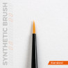 Precision brushes set