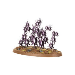 Warhammer Age of Sigmar – Regiments of Renown: Accursed Reflection