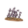 Warhammer Age of Sigmar – Regiments of Renown: Accursed Reflection