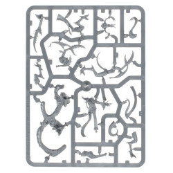 Warhammer Age of Sigmar – Regiments of Renown: Accursed Reflection