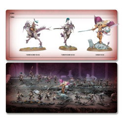 Warhammer Age of Sigmar – Battleforce: The Decadent Host