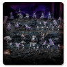 Warhammer Age of Sigmar – Spearhead: Epicurean Revellers