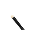 Set of Dry Brushes