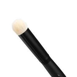 Set of Dry Brushes