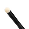 Set of Dry Brushes