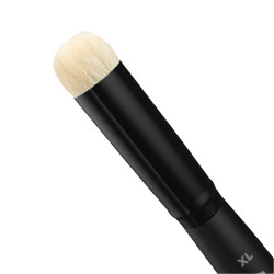 Set of Dry Brushes