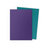 Soul & Petrol - Matte Dual Sleeves