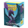 Soul & Petrol - Matte Dual Sleeves