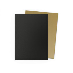 Black & Gold - Matte Dual Sleeves