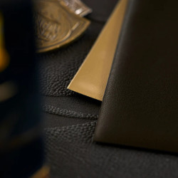 Black & Gold - Matte Dual Sleeves