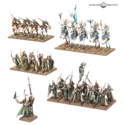 Battle March Army Box: Wood Elf Realms