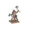 Battle March Army Box: Beastmen Brayherds