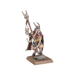 Battle March Army Box: Beastmen Brayherds